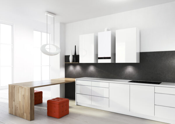 VIESSMANN VITODENS 050-W-Dwufunkcyjny - obrazek 3