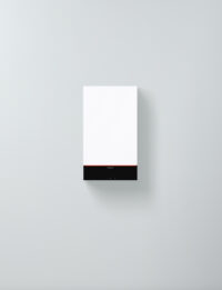 VIESSMANN VITODENS 100-W-Jednofunkcyjny - obrazek 2